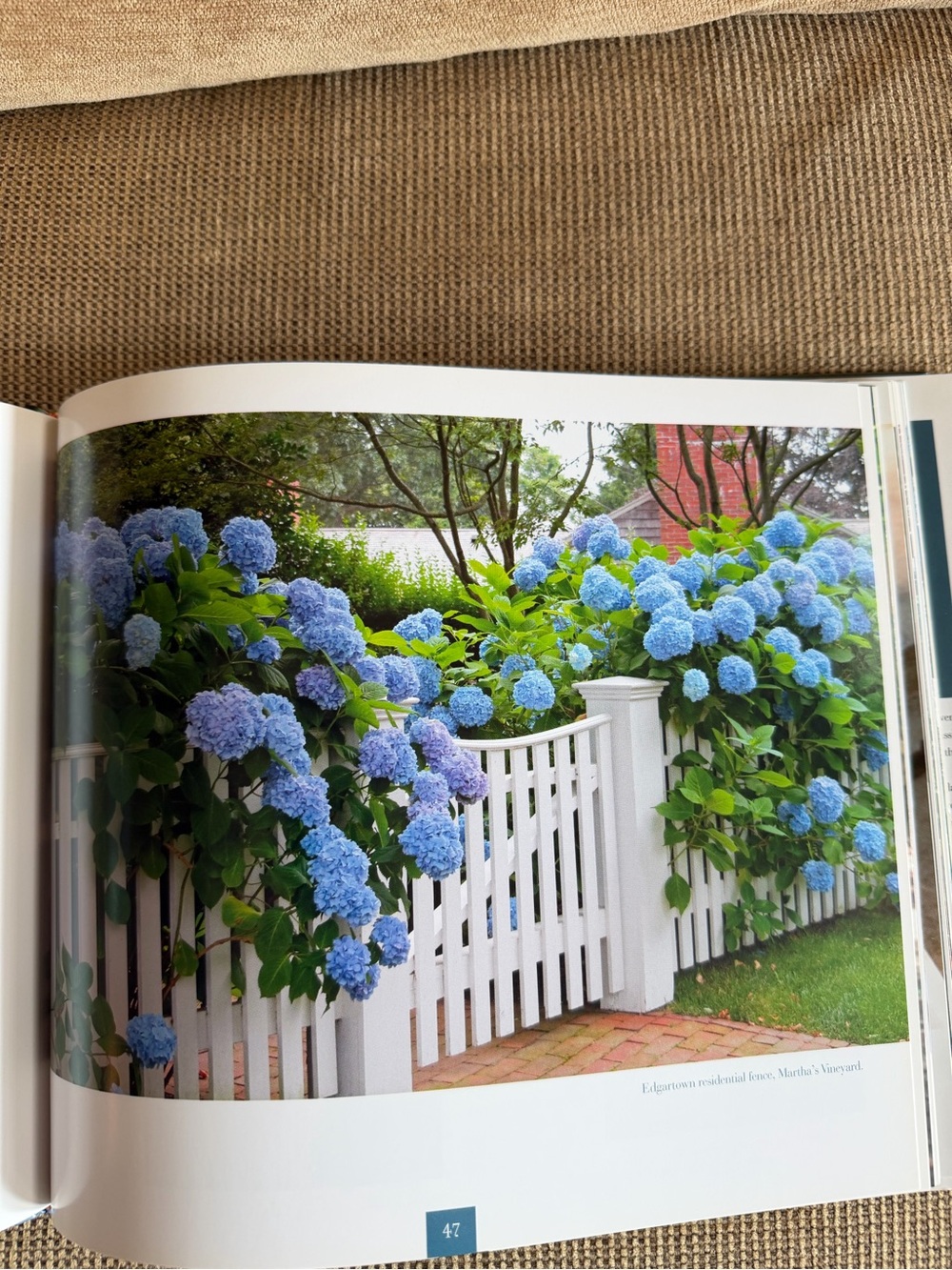 Hydrangeas Cape Cod Book by Joan Harrison - Picture 6 of 8